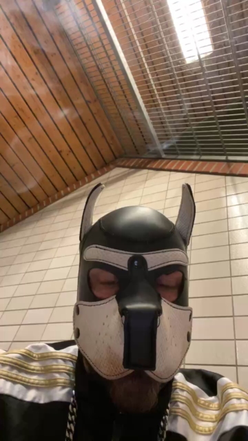 machobulle2  17-10-2021 Recorded Video XXX